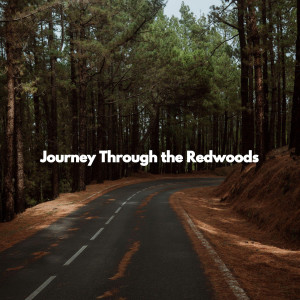 Spanish Jazz Cafe的專輯Journey Through the Redwoods