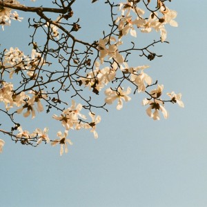 ดาวน์โหลดและฟังเพลง when i'm with you พร้อมเนื้อเพลงจาก Harpsichord Canvas