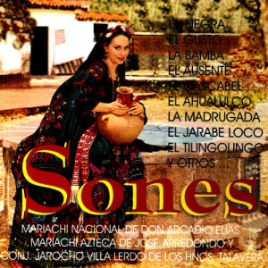 Mariachi Nacional De Don Arcadio Elias的專輯Sones
