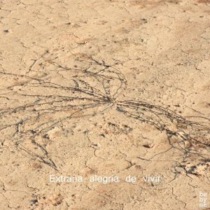 ดาวน์โหลดและฟังเพลง Y Luego Estoy Sola พร้อมเนื้อเพลงจาก David Mengual Slow Quartet