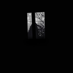 收听RVNI的Liquide (Explicit)歌词歌曲