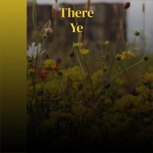 Listen to Joshua Tank song with lyrics from Danie Sery