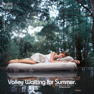Album Valley Waiting for Summer (Relaxation, Relaxing Muisc, White Noise, Insomnia, Deep Sleep, Meditation, Concentration, Lullaby, Prenatal Care, Healing, Memorization, Yoga, Spa) oleh Nature Sound Band