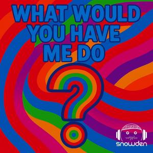 收聽DJ Snowden的WHAT WOULD YOU HAVE ME DO歌詞歌曲