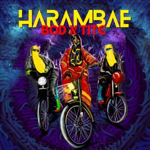 收聽Bananasoverdose的Kilifi (feat. Ziller Bas, Tite & FlexFab)歌詞歌曲