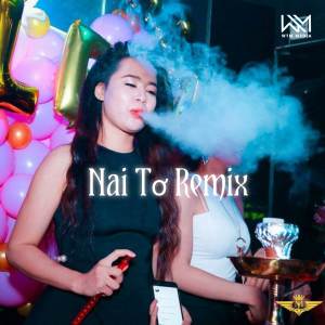 Rieu的專輯Nai Tơ (Instrumental Remix)
