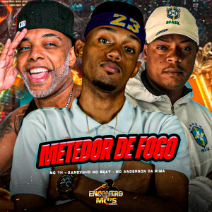 Album METEDOR DE FOGO (Explicit) from Mc Th