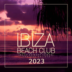 ดาวน์โหลดและฟังเพลง Xantina (Iced Mix) พร้อมเนื้อเพลงจาก Solid Groove