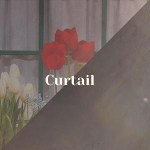 Album Curtail from Various