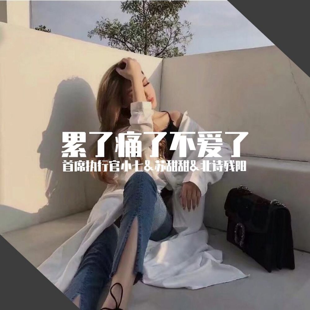 美人吟 (抖音版)