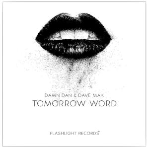 收听Damn Dan的Tomorrow Word (Original Mix)歌词歌曲