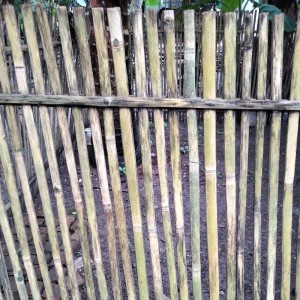 收聽Listiana的Meninggalkanku歌詞歌曲