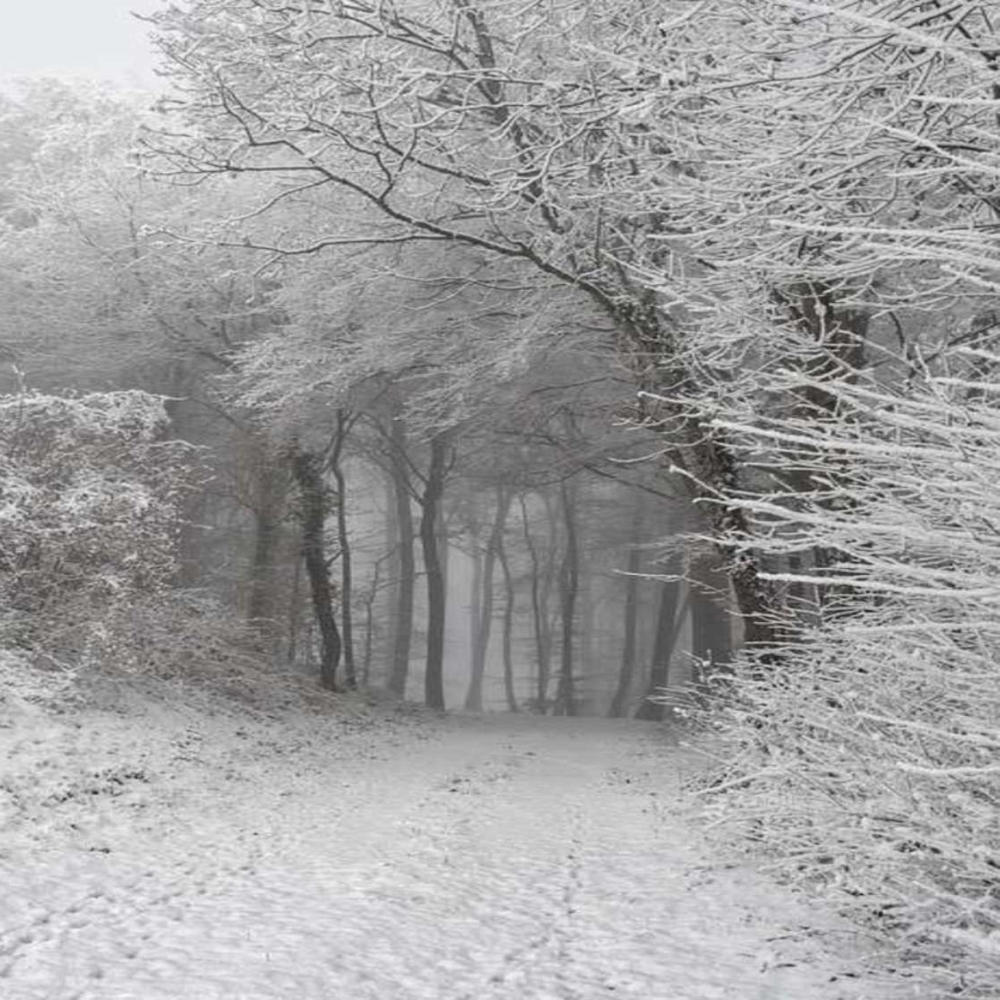 snow (Explicit)