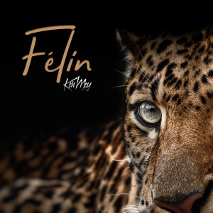 Keh Mey的專輯Félin