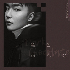 Listen to 黑色巧克力 song with lyrics from 赵文昊
