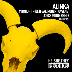 อัลบัม Midnight Ride (feat. Robert Owens) [Joyce Muniz Remix] ศิลปิน Alinka