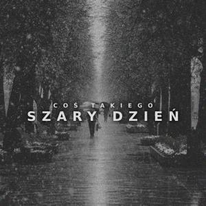 Album Szary Dzień (Explicit) from Coś Takiego