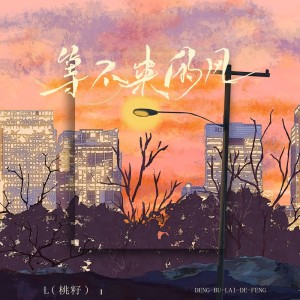 ดาวน์โหลดและฟังเพลง 等不来的风 พร้อมเนื้อเพลงจาก L（桃籽）