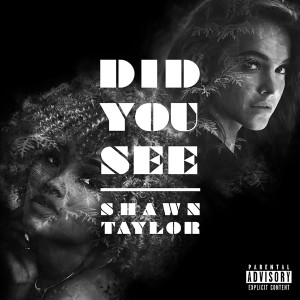 Dengarkan lagu Did You See (Explicit) nyanyian Shawn Taylor dengan lirik