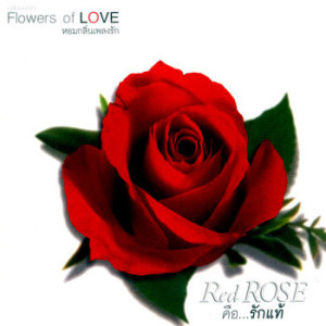 อัลบัม FLOWERS 1 Red Rose คือ...รักแท้ ศิลปิน รวมศิลปินแกรมมี่