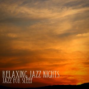 ดาวน์โหลดและฟังเพลง Deep Sleeper พร้อมเนื้อเพลงจาก Relaxing Jazz Nights