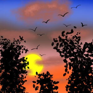 default playlist img