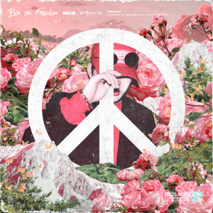 Listen to I DONT KNOW WHAT TO DO  (Feat. Od Rhomp) song with lyrics from 프리든