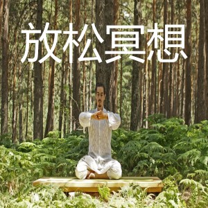 收听Concentracion的放松歌词歌曲