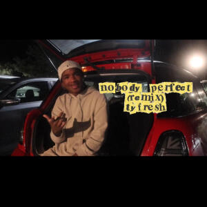 Ty Fresh的專輯nobody perfect (remix)