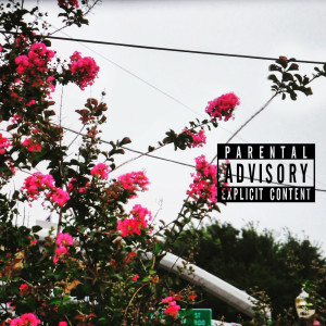 Album Swangin (Explicit) from 