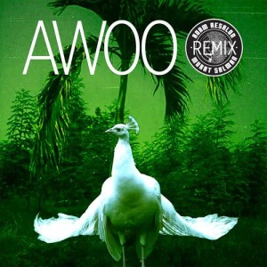 收聽Sofi Tukker的Awoo (Adam Aesalon & Murat Salman Remix)歌詞歌曲
