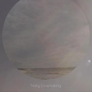 อัลบัม Nary Lovemaking ศิลปิน Various Artists
