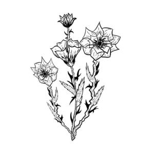 收聽NAJAXE的Path (feat. AMEBA) (Explicit)歌詞歌曲