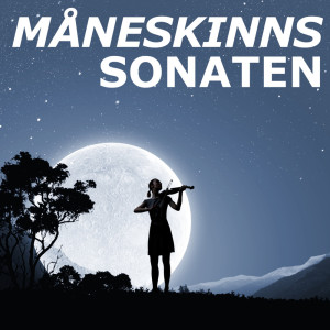 收听Måneskinnssonaten的Måneskinnssonaten (Pianosonate nr. 14 i cis-moll) (gitar ensemble)歌词歌曲