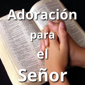 Listen to Me Diste Amor song with lyrics from Danny Berrios