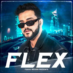 Listen to FLEX song with lyrics from Fukra Insaan