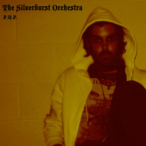 收聽Amortem的P.N.P.歌詞歌曲