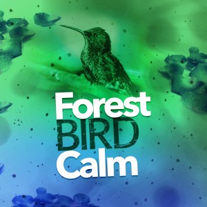ดาวน์โหลดและฟังเพลง Bird Life พร้อมเนื้อเพลงจาก Forest Sounds Relaxing Spa Music Singing Birds