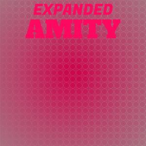 Album Expanded Amity oleh Various