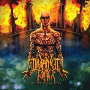 ดาวน์โหลดและฟังเพลง The Sufferings พร้อมเนื้อเพลงจาก Disdained Grace