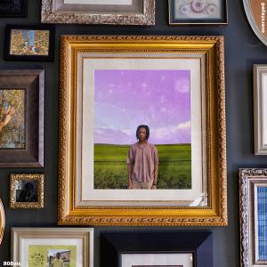 808Vic的專輯Overstayed (Explicit)