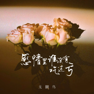 Listen to 感情里谁没有吃过亏 (伴奏) song with lyrics from 无脚鸟