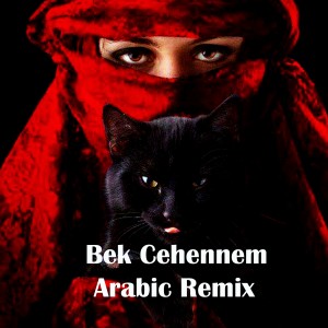 Listen to Bek Cehennem (Arabic Remix) song with lyrics from Metin Uslu