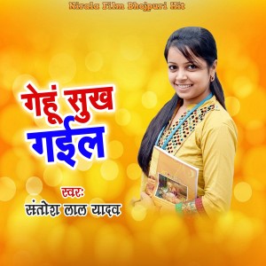 收聽Santosh Lal Yadav的Gehu Sukh Gail歌詞歌曲