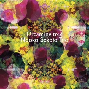 ดาวน์โหลดและฟังเพลง Januari พร้อมเนื้อเพลงจาก Naoko Sakata Trio