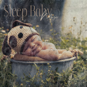 Album Sleep Baby Music (Relaxing and Calming Sounds, Rain, Nature Lullabies, White Noise Therapy) from Calm Baby Music Land