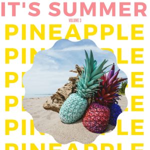 Various Artists的專輯It's Summer: Pineapple -, Vol. 3