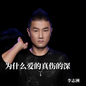 Listen to 为什么爱的真伤的深-DJ沈浪版 (Remix) song with lyrics from 李志洲