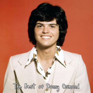 Listen to To Run Away song with lyrics from Donny Osmond