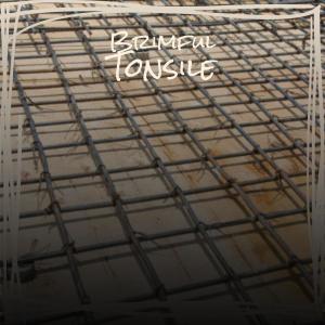 Album Brimful Tonsile from Various